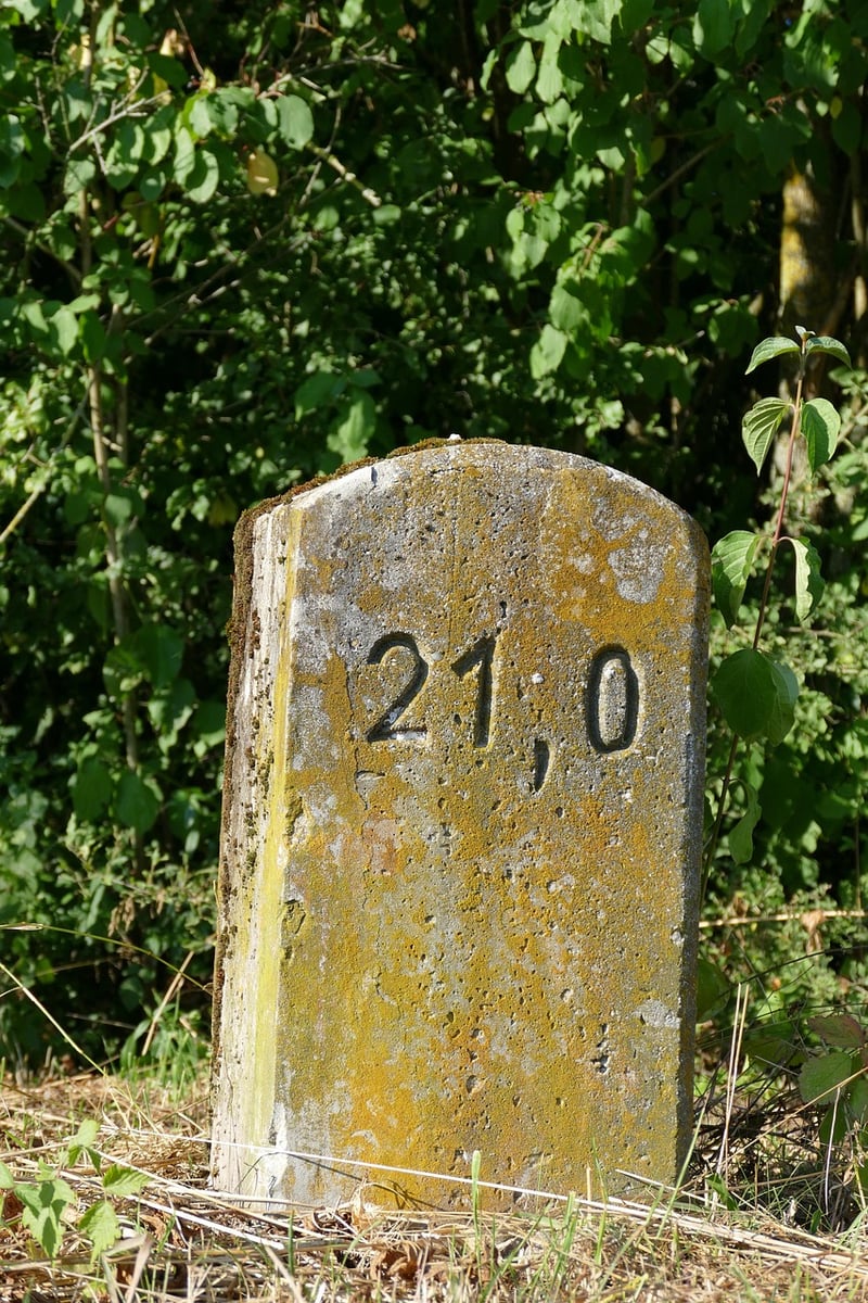 Career Milestones