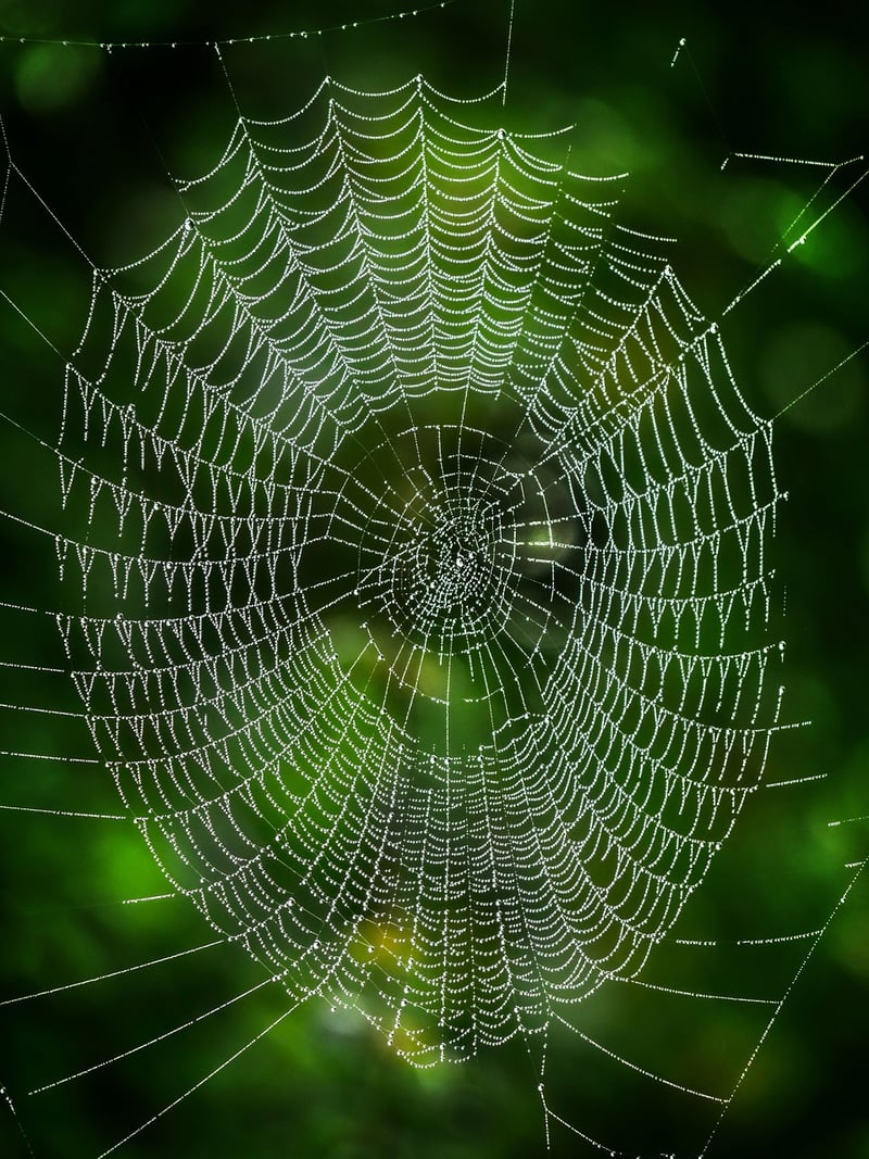 Networking Strategies